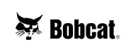 Bobcat